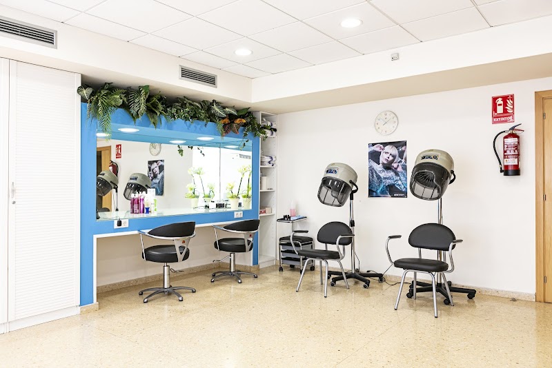 Residencia Los Sauces — foto 8