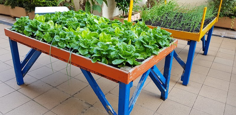 Residencia Los Sauces — foto 10