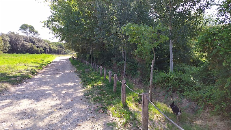 Residència Assís — foto 5