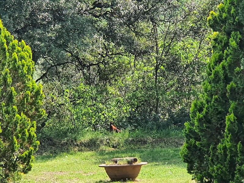 Residència Assís — foto 6