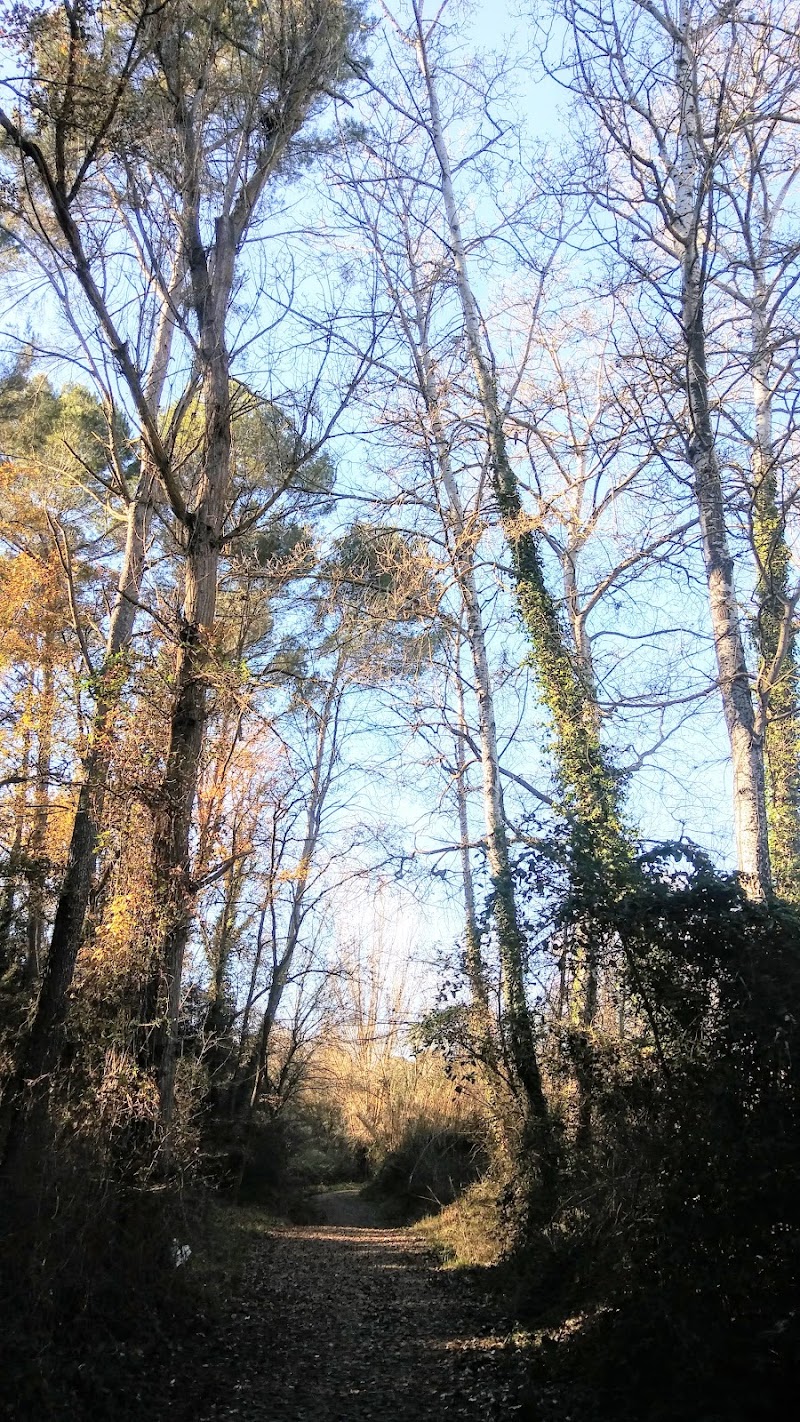 Residència Assís — foto 8