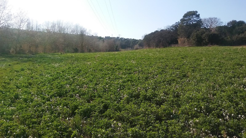 Residència Assís — foto 10