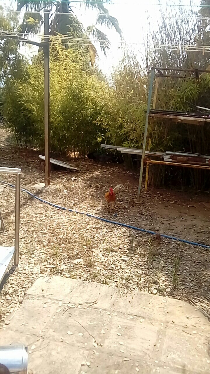 Residencia geriátrica Maria de la Salud — foto 9