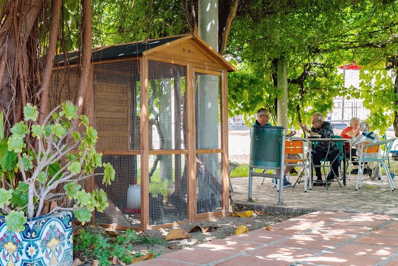 Residencia geriátrica Maria de la Salud — foto 10
