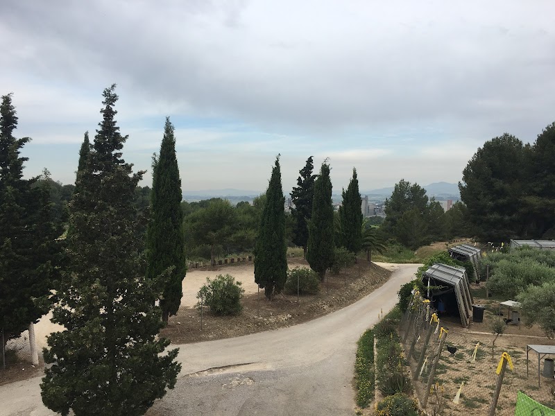 Residencia Espitlles — foto 4