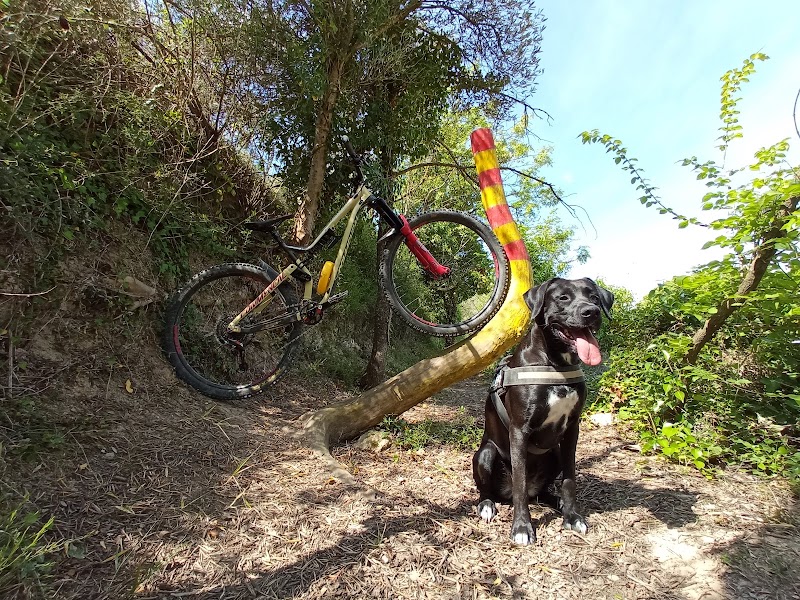 Residencia Espitlles — foto 9