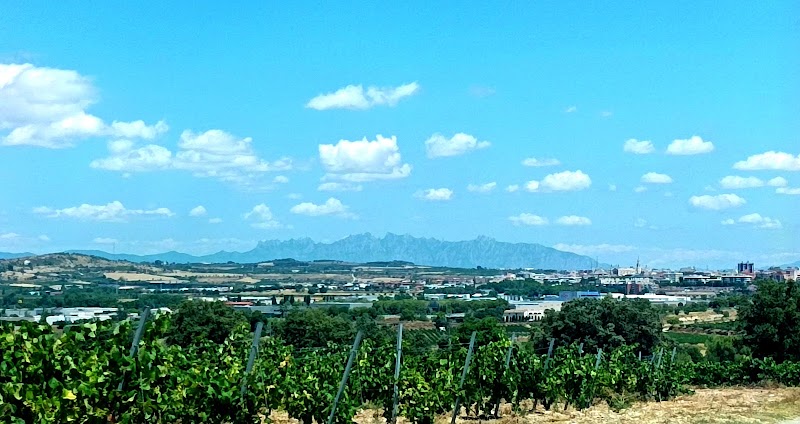 Residencia Espitlles — foto 10