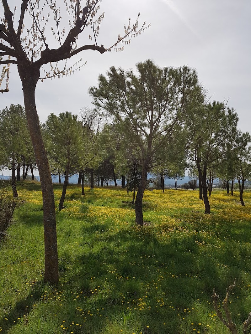 Residència Sant Francesc d'Assis — foto 8