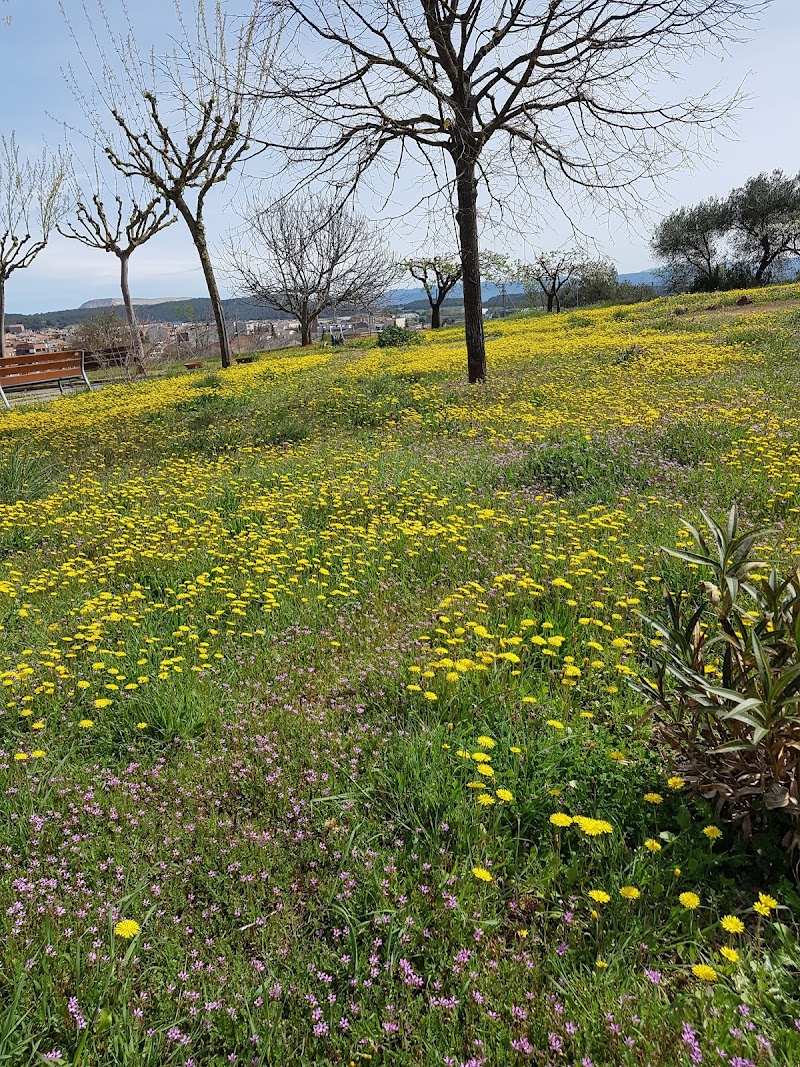 Residència Sant Francesc d'Assis — foto 9