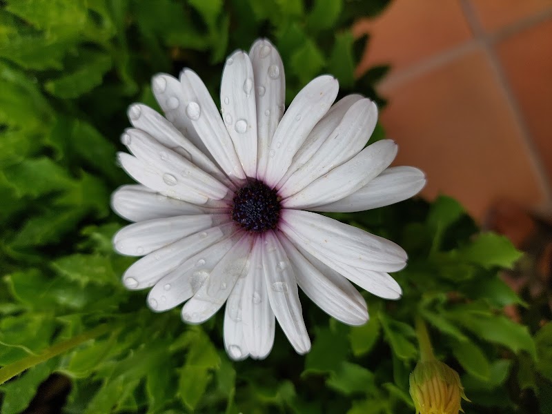 Residència Sant Francesc d'Assis — foto 10