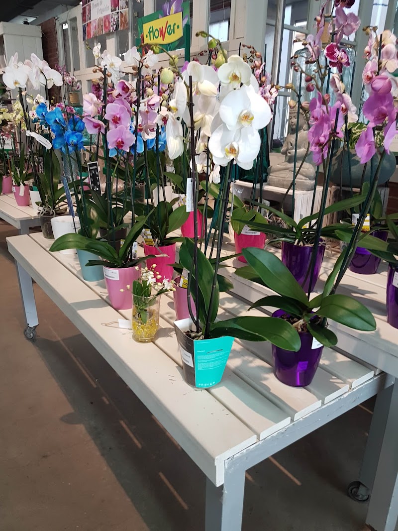 La Llar Fundació — foto 10