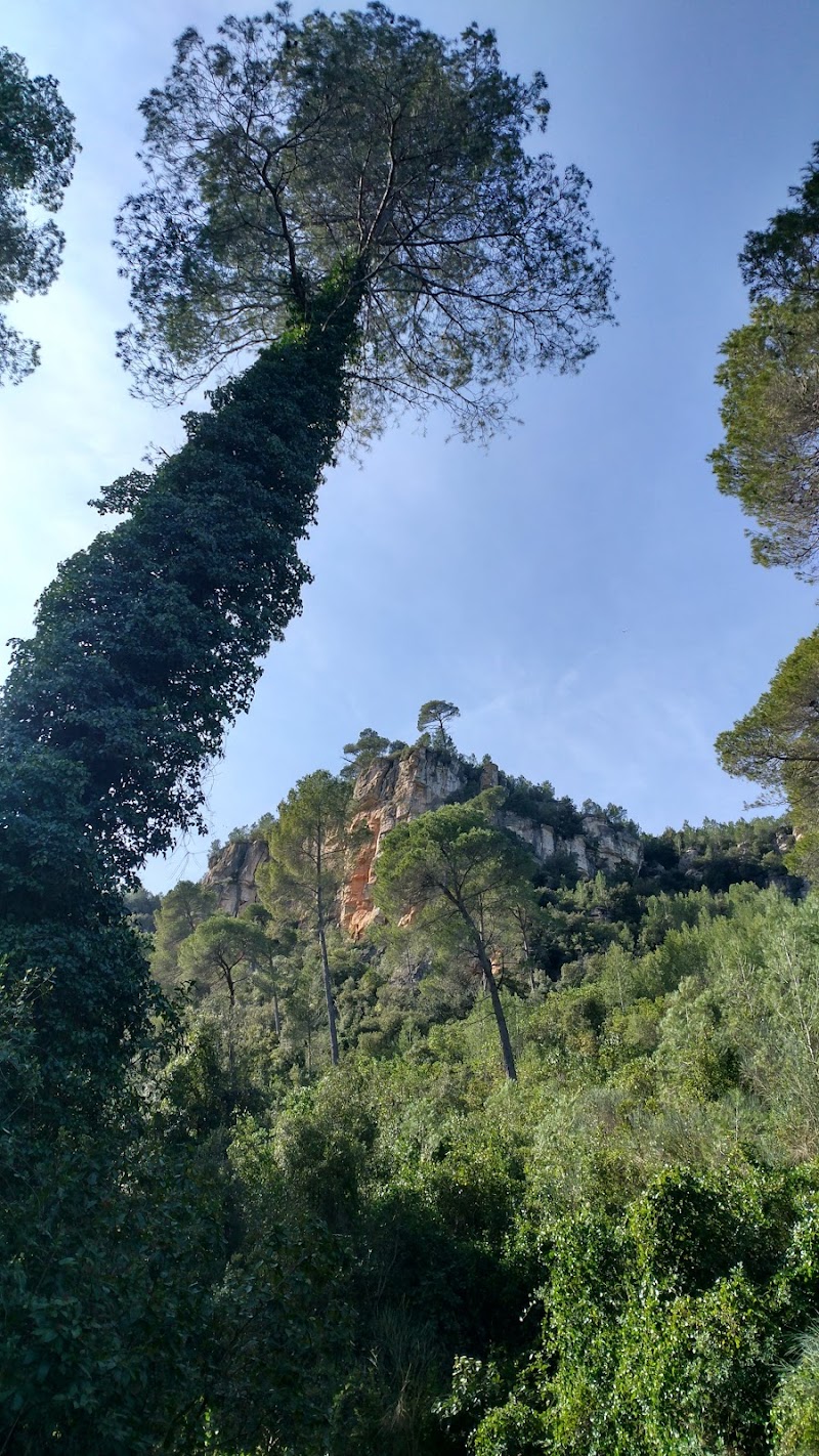 Residencia Fundación Nuestra Señora de Fátima — foto 6