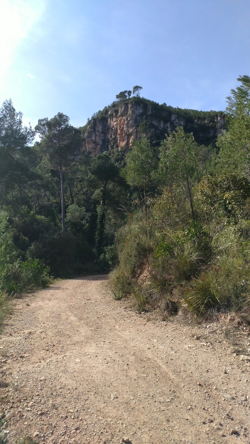 Residencia Fundación Nuestra Señora de Fátima — foto 7