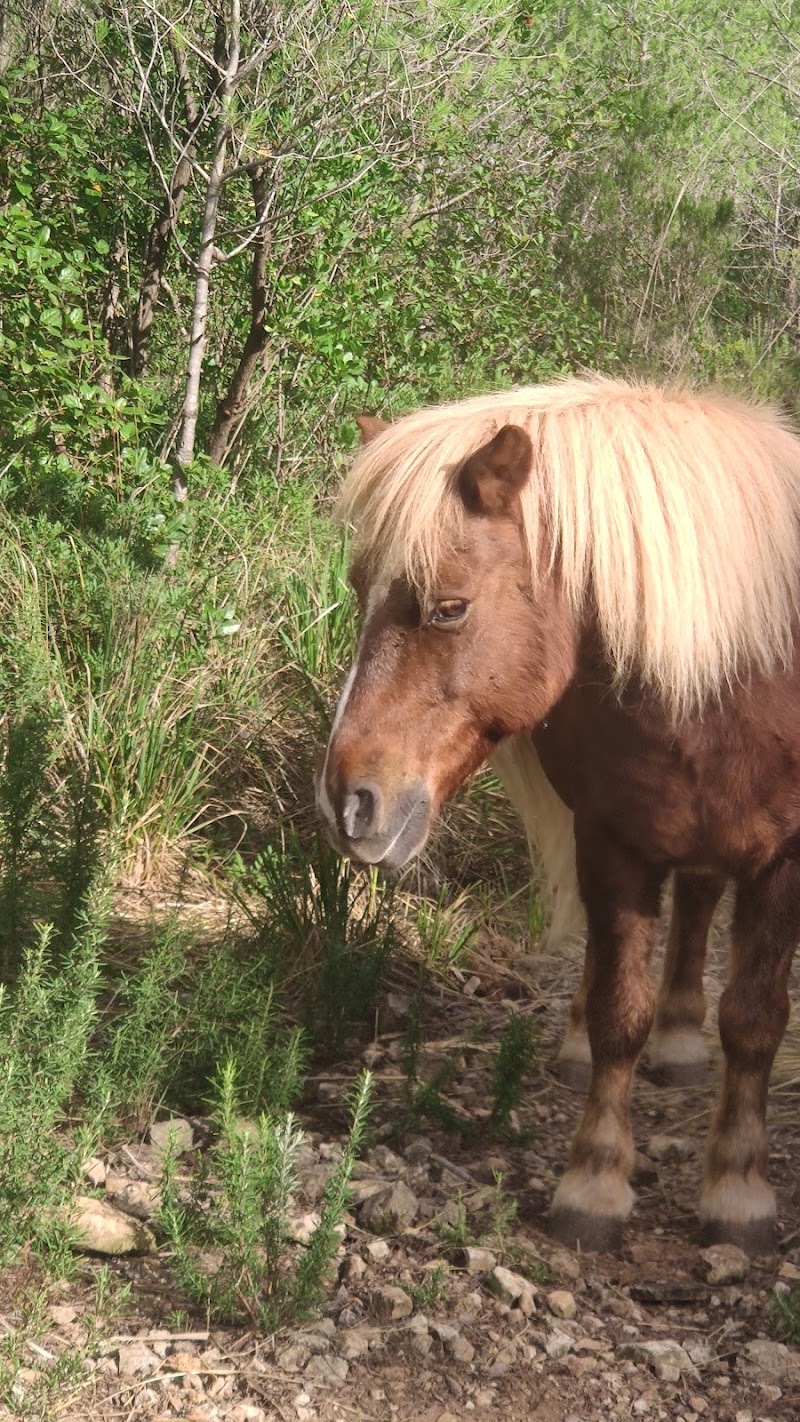 Residencia Fundación Nuestra Señora de Fátima — foto 9