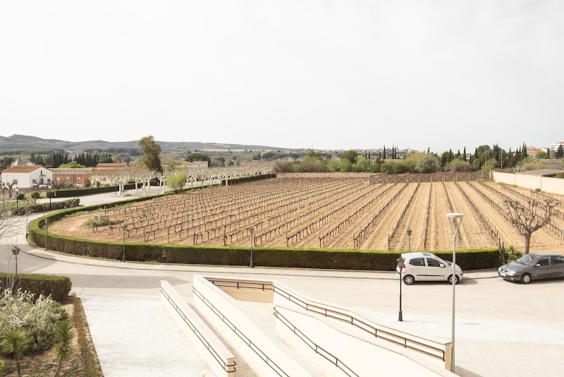 Residencia Mare Ráfols — foto 9