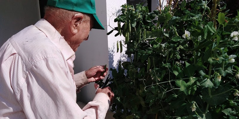 Casa de repòs Verge de la Salut i Sant Camil — foto 2