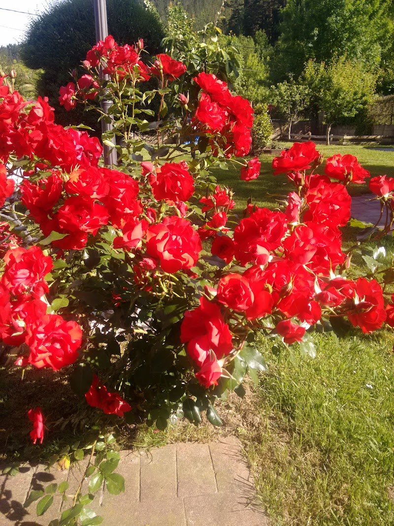 Vivienda comunitaria Gure Etxea