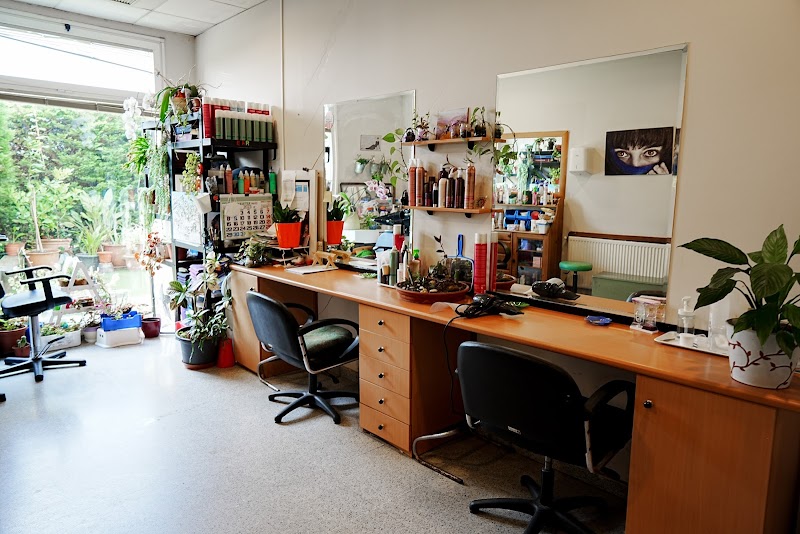 Sanitas Residencial Barakaldo — foto 8