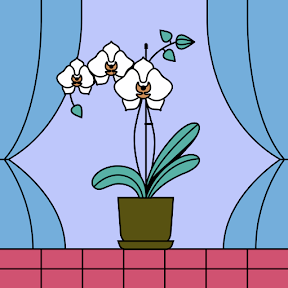 Vivienda comunitaria Irabel — foto 1