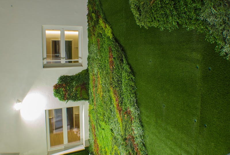 Colisee Bilbao - San Antonio