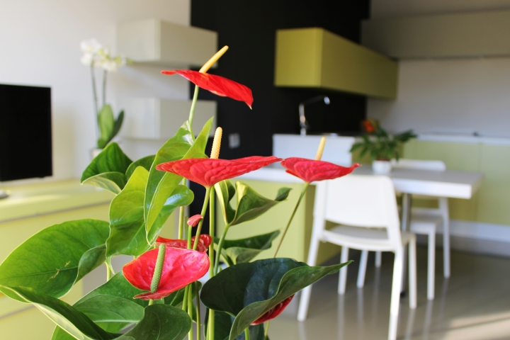 Residencia Vitalitas Sarriko — foto 7