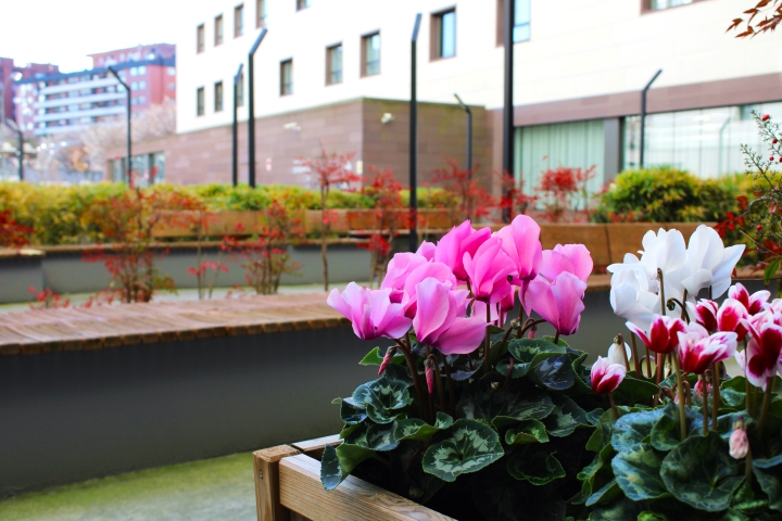 Residencia Vitalitas Sarriko — foto 8