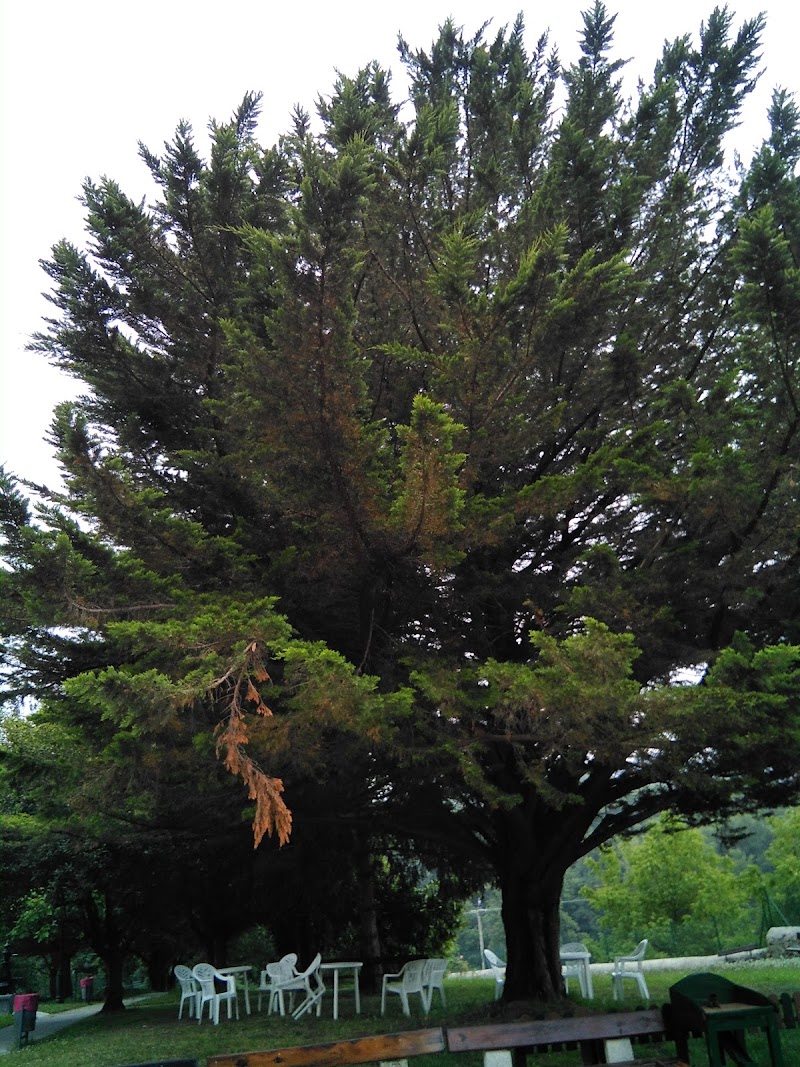 Hospital Asilo Nuestra Señora de los Desamparados — foto 3