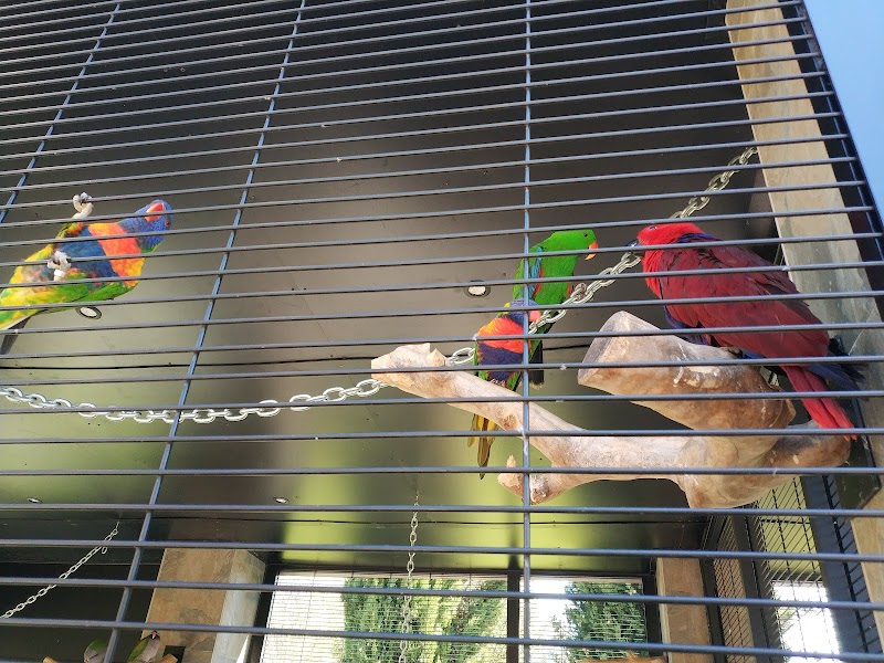 Residencia Uribarren - Abaroa — foto 8