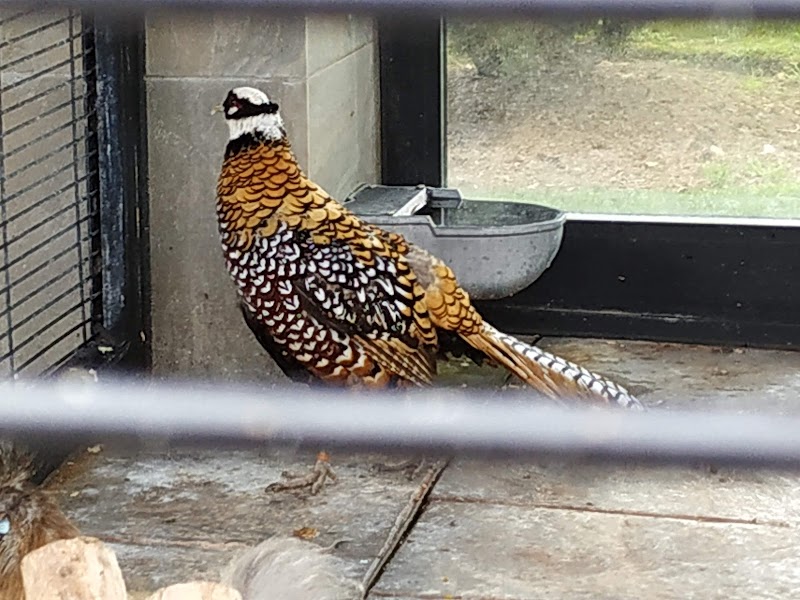 Residencia Uribarren - Abaroa — foto 9