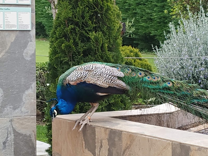 Residencia Uribarren - Abaroa — foto 10