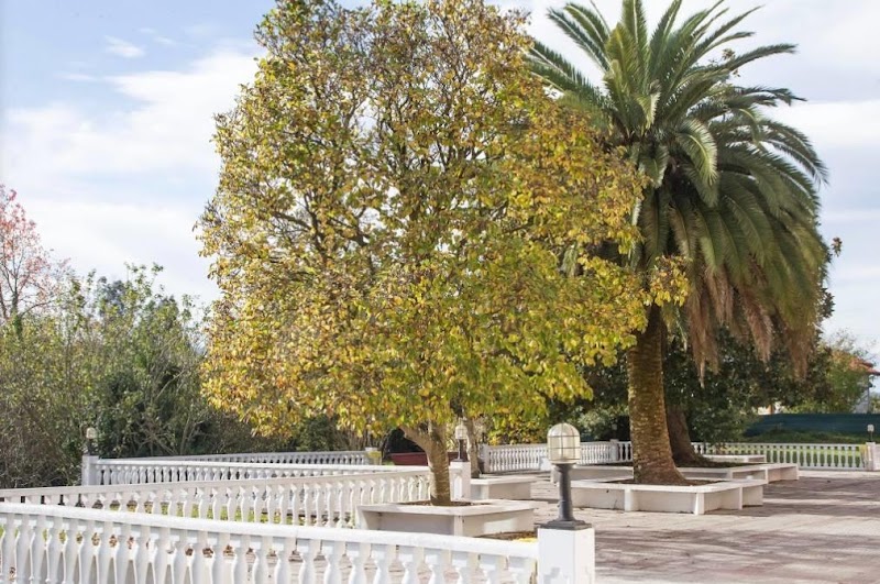 Residencia geriátrica Las Magnolias — foto 5