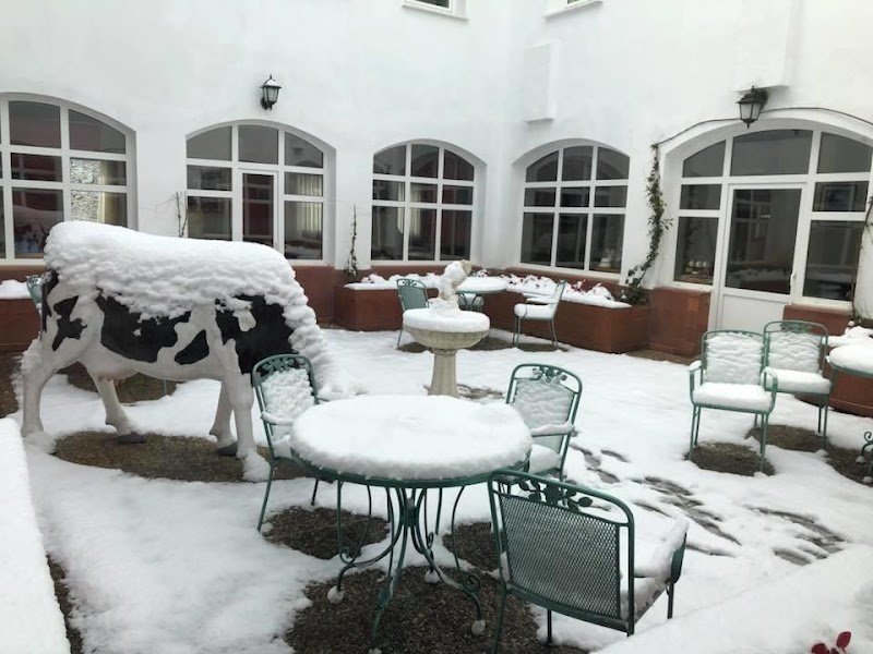 Residencia geriátrica Las Magnolias — foto 7