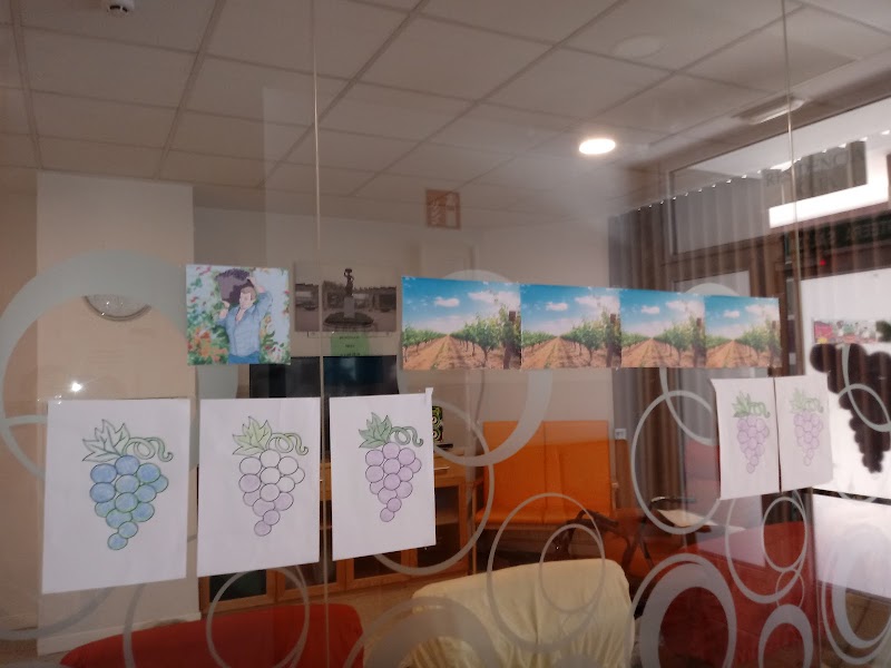 Vivienda comunitaria Kaia — foto 6