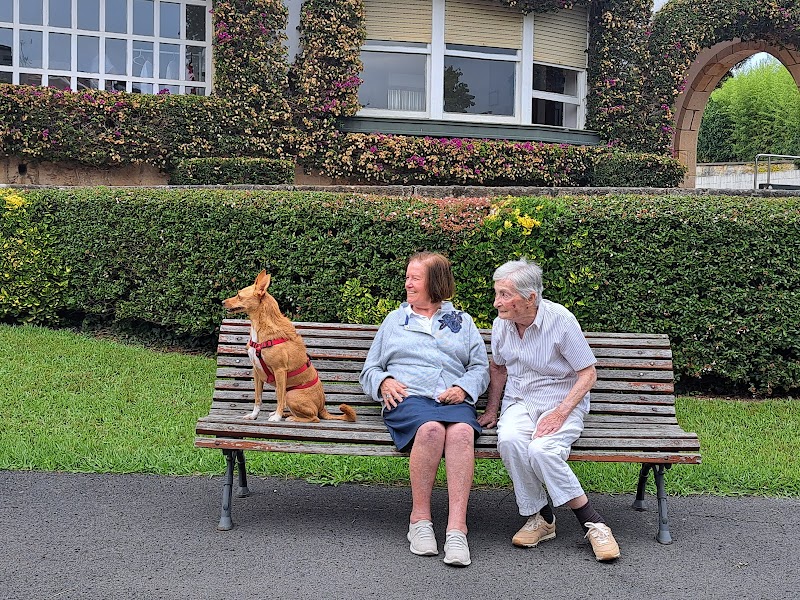 Residencia Sopelana — foto 7