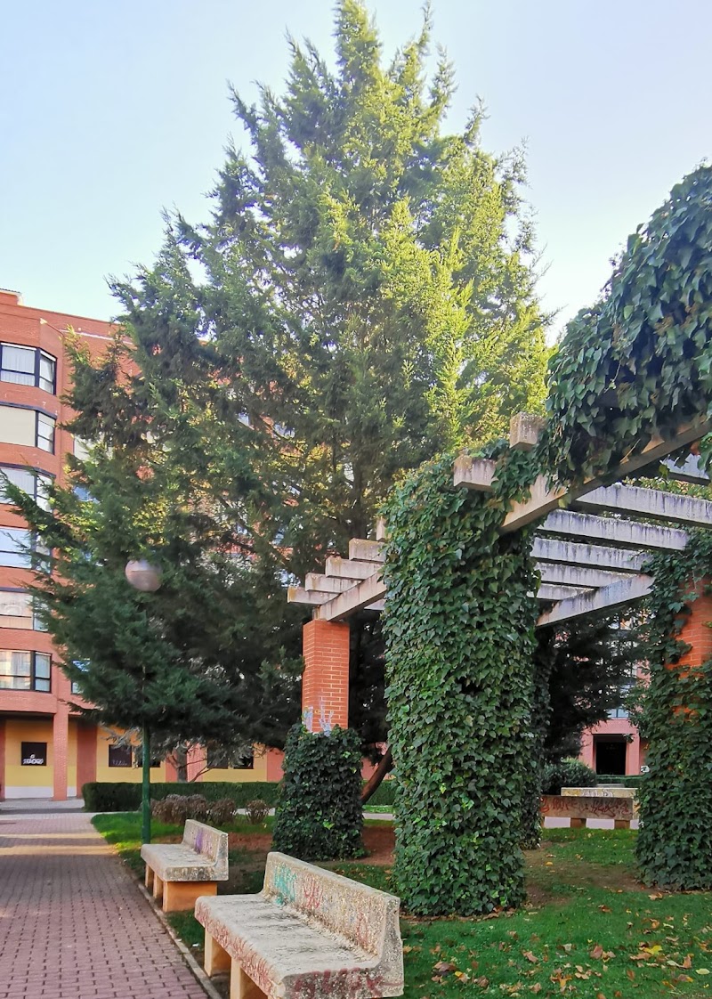 Residencia San Pedro y San Felices — foto 7