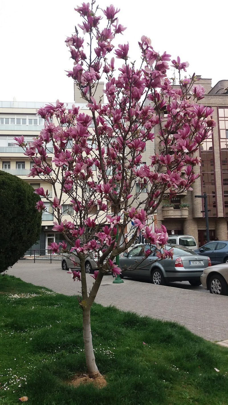 Residencia de Religiosas Angélicas — foto 4