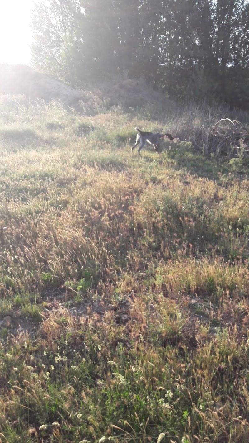 DomusVi Celada — foto 10