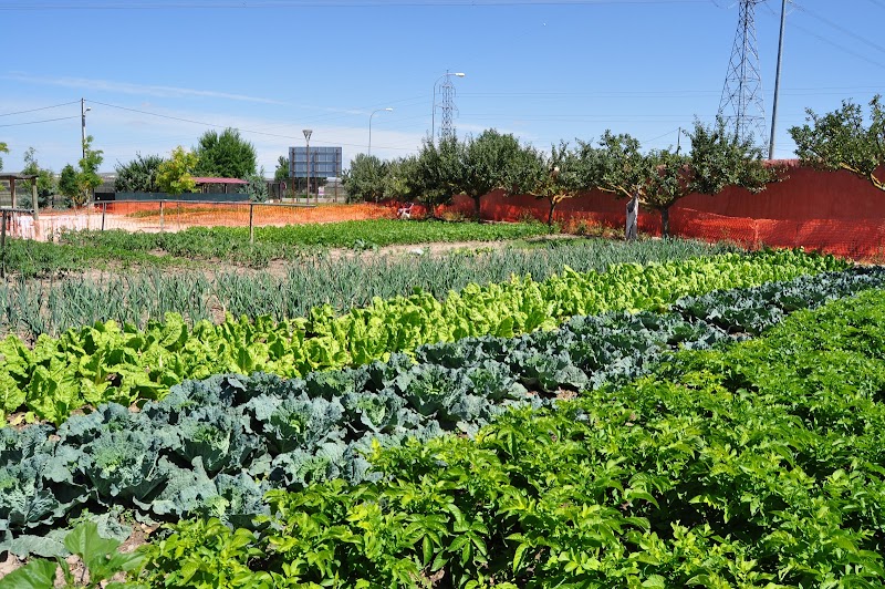 Residencia Vitalia Jardín — foto 9