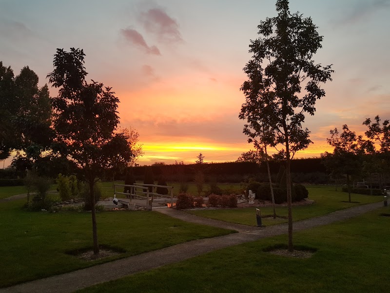 Hogar residencia El Racimo — foto 2