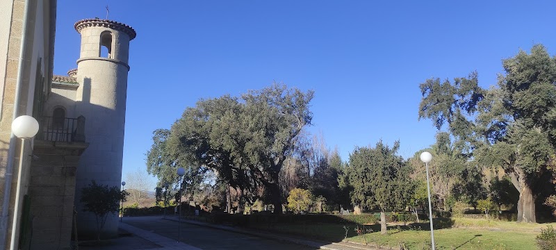 Residencia Fundación Masides — foto 6