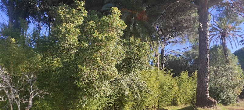 Residencia Fundación Masides — foto 9