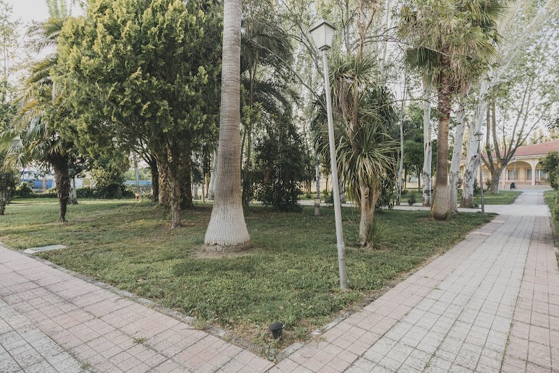 Residencia Virgen de la Montaña I — foto 9