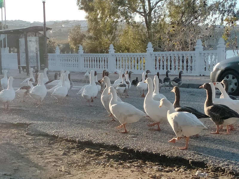 Residencial Lago de Arcos — foto 5