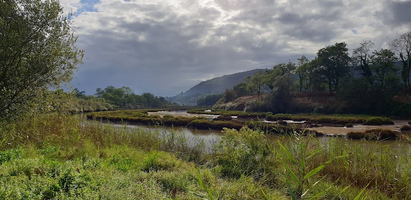 Vitalia Vitalitas San José — foto 8