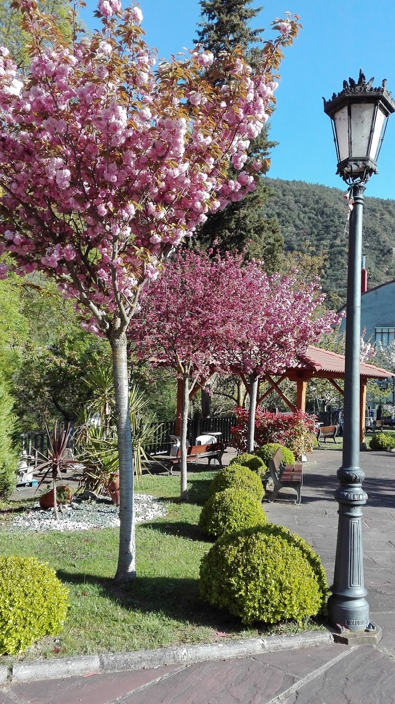 Asilo Félix de las Cuevas — foto 5