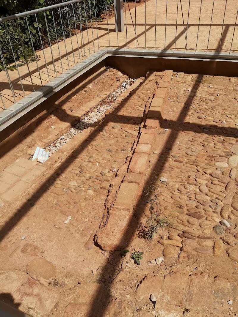 Residencia de ancianos de Cáritas Interparroquial de Burriana — foto 4