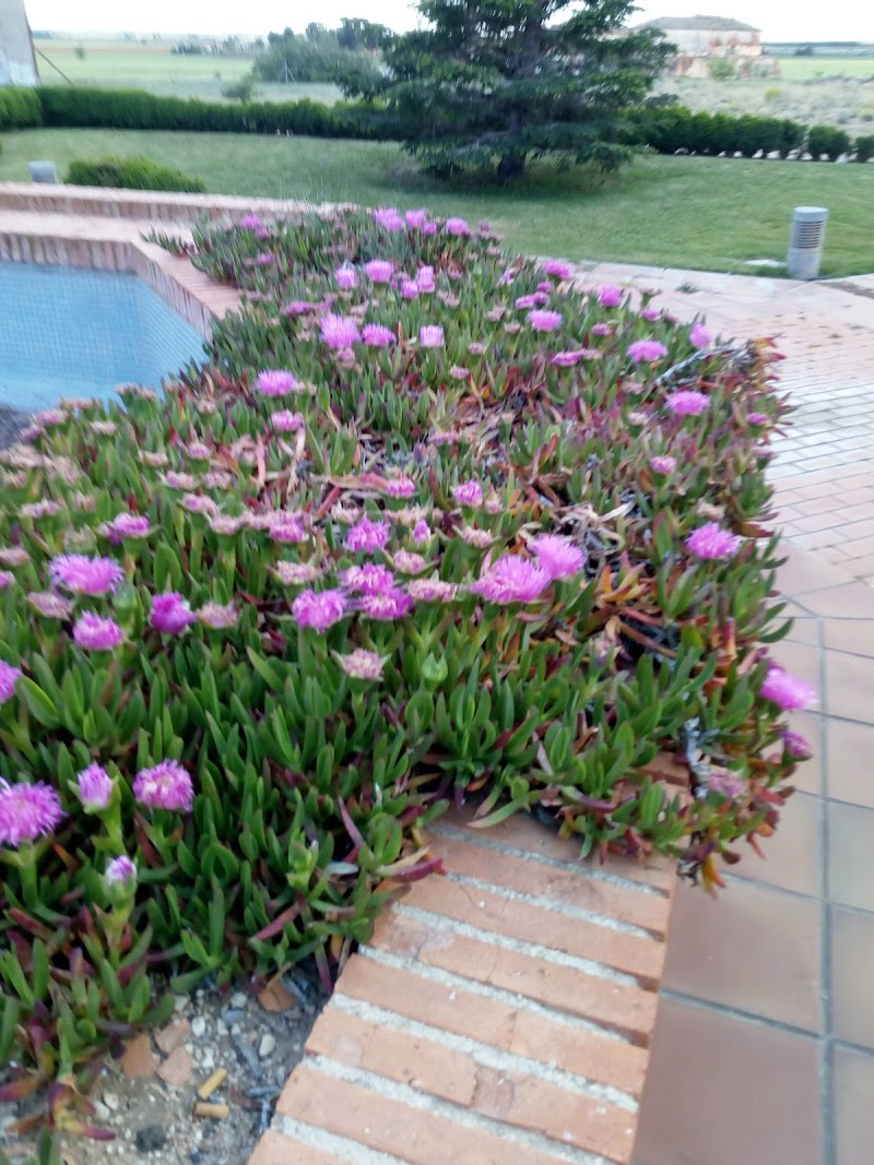 Residencia Asistida de Mayores Nuestra Señora del Rosario — foto 5