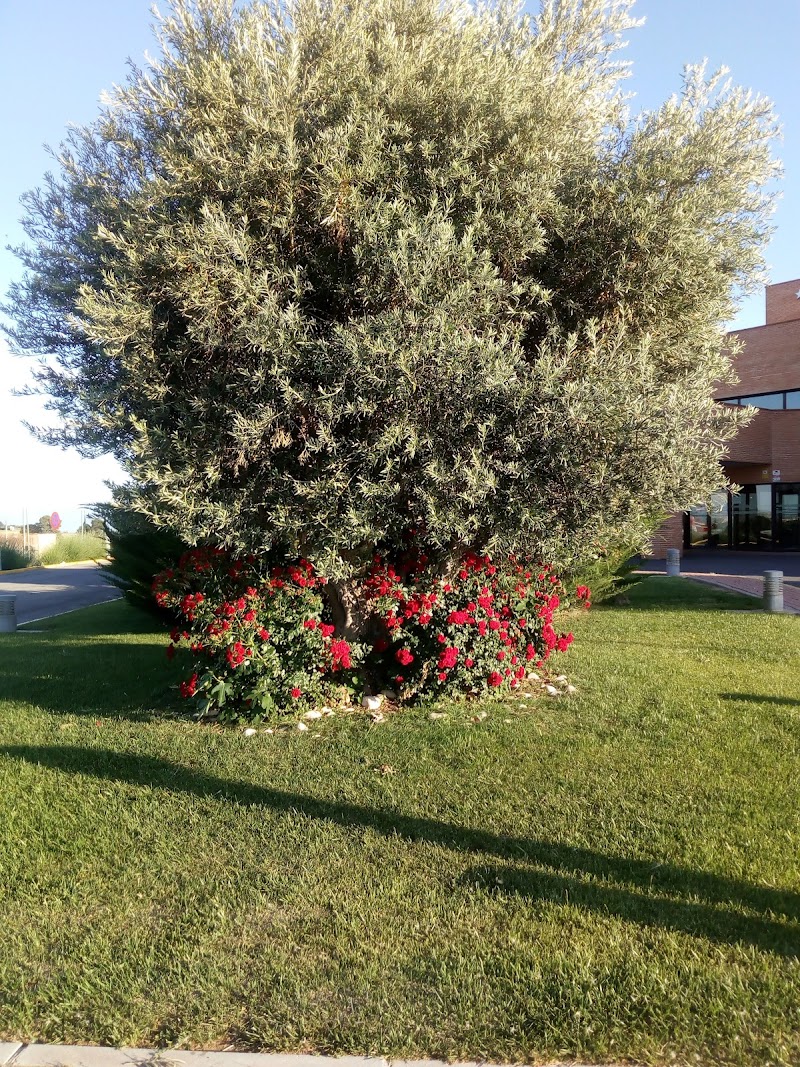 Residencia Asistida de Mayores Nuestra Señora del Rosario — foto 6