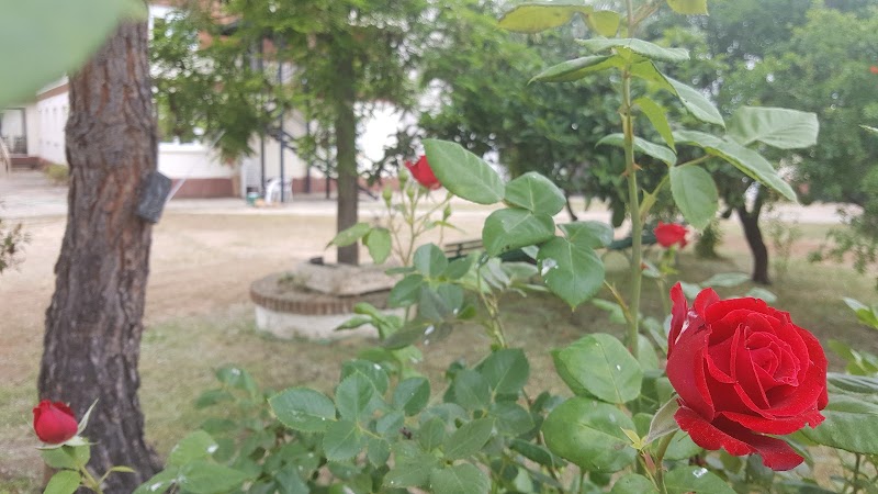 Residencia de Ancianos Aura Santa Bárbara — foto 8