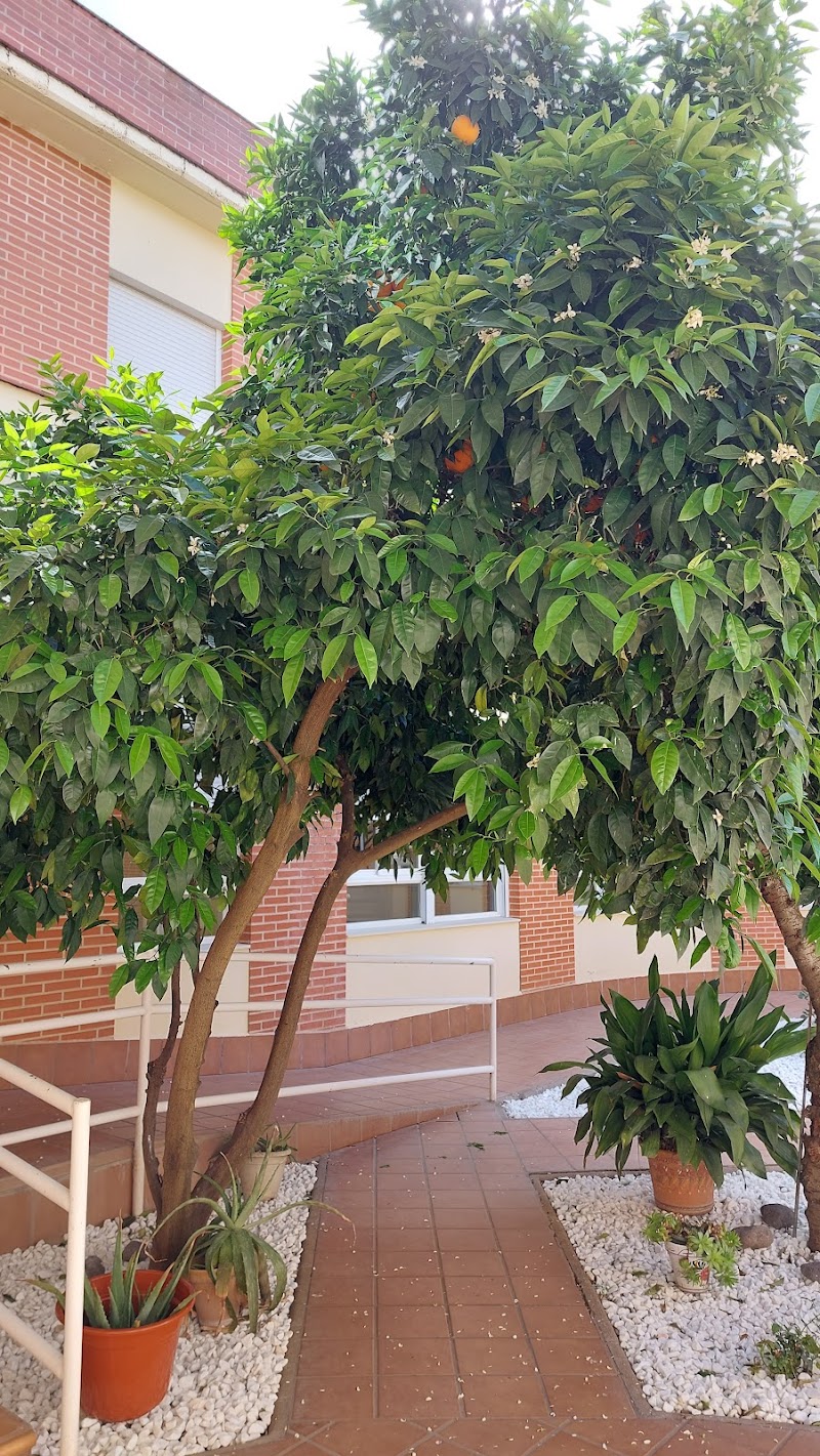 Residencia Acalia — foto 2